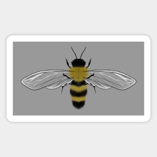 Honeybee Magnet